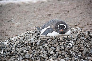 卡普空社长辻本春弘：游戏业发展的关键是人才培养